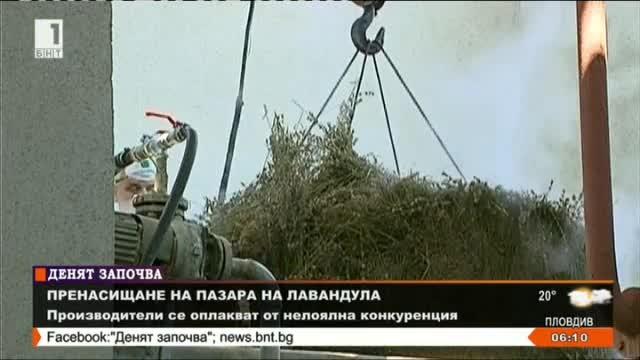 Риск за доброто име на българското лавандулово масло