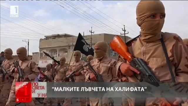 Малките лъвчета на халифата