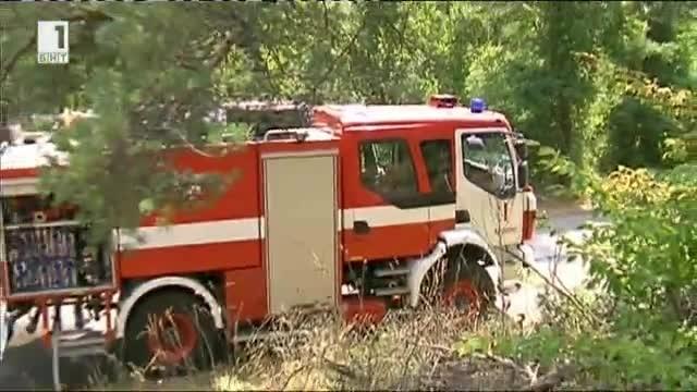 Щети за милиони след горския пожар край Ардино