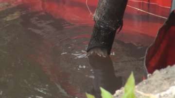 100 хил. лева глоба за Лукойл Нефтохим (ОБЗОР)