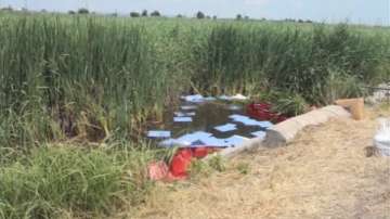 Драстични санкции за замърсяване на околната среда и водите поиска Ивелина Василева