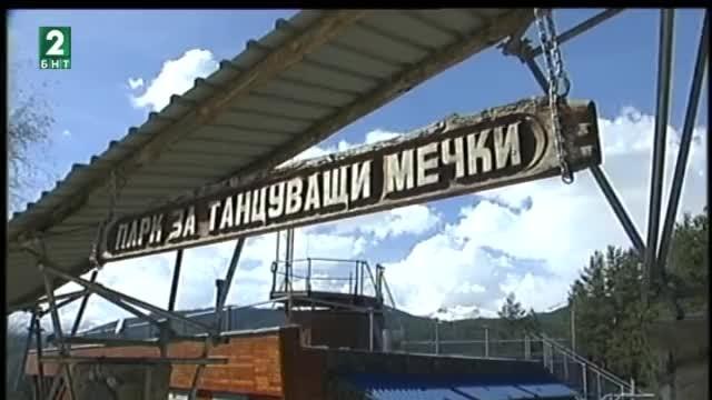 Над 2000 посетители в Парка за танцуващи мечки край Белица от началото на сезона