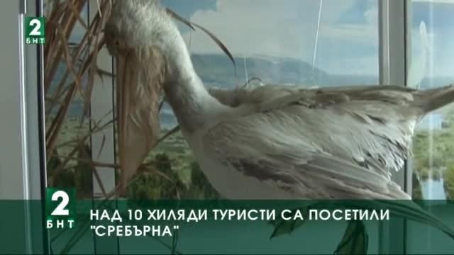 Над 10 хиляди туристи са посетили Природонаучния музей на „Сребърна”