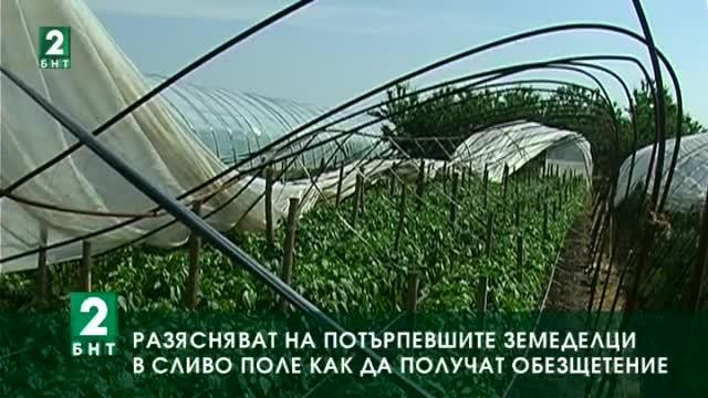 Разясняват на потърпевшите земеделци  в Сливо поле как да получат обезщетение