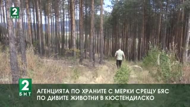 Агенцията по храните взема мерки срещу бяс по дивите животни в Кюстендилско