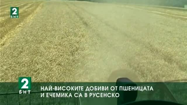 Най-високите добиви от пшеницата и ечемика са в Русенско