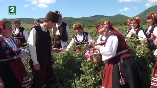 Японци се включват в розобера в Карловско