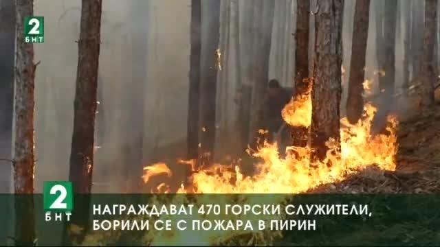Награждават 470 горски служители, борили се с пожара в Пирин