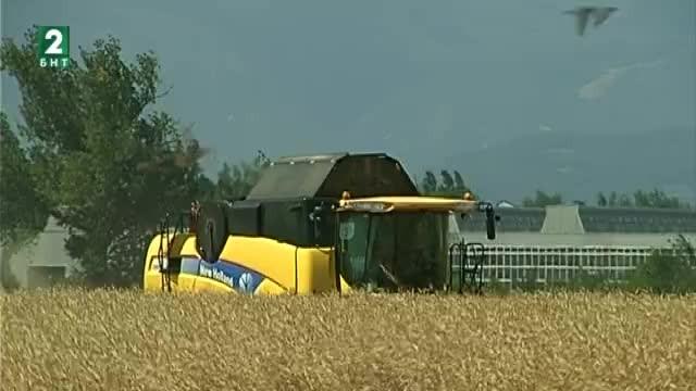 Зърнопроизводители се притесняват за реколтата