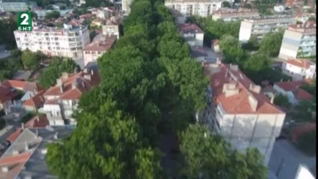 Започва пръскане срещу комари в Силистра