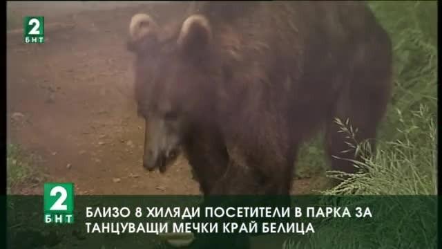 Бум на туристи в парка за танцуващи мечки до Белица