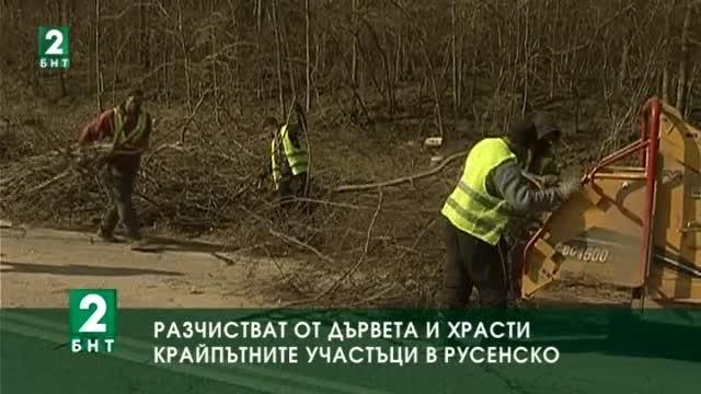 Разчистват от дървета и храсти край пътищата в Русенско
