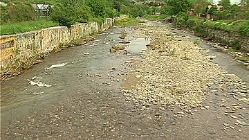 Отровена ли е река Луда Яна?