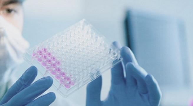 Над 20 деца с хранително натравяне в Рибарица