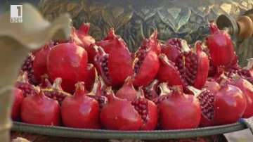 Зелена светлина: Нарът спира стареенето