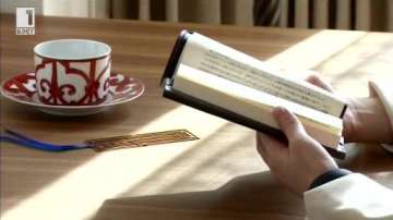 Зелена светлина: Градско отшелничество или миниатюрен дзен?