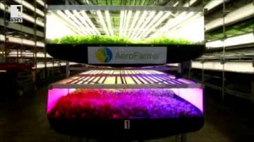 Зелена светлина: Вертикални ферми превземат изоставени сгради