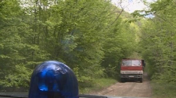 Експерти: Незаконната сеч е причина за наводненията