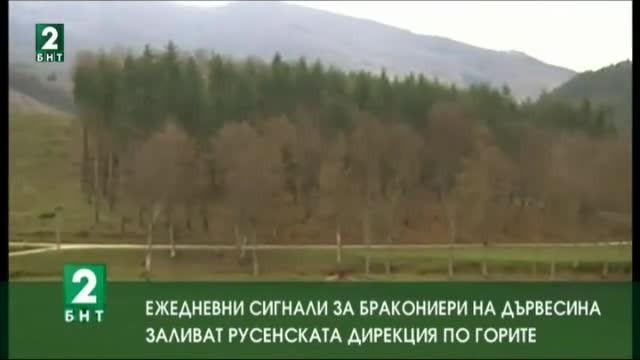 Сигнали за бракониери на дървесина заливат русенската дирекция по горите