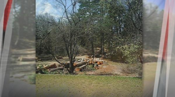 Сигнал за масова сеч над Пещера