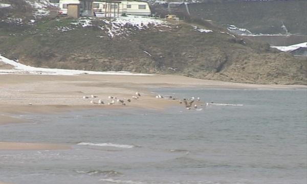 Промени в ЗУТ може да отменят забраната за строежи по морето
