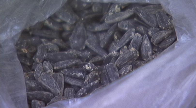 Глобяват всеки, който хвърля семки на земята в Пловдив