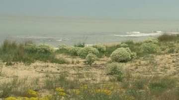 Плажът край Шкорпиловци отново без стопанин