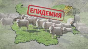 Продължава разпространението на син език в страната