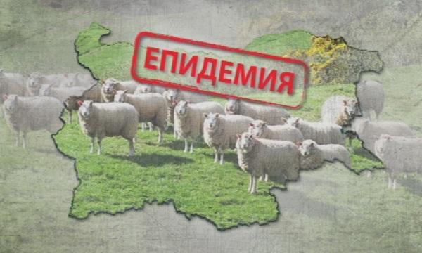 Продължава разпространението на син език в страната