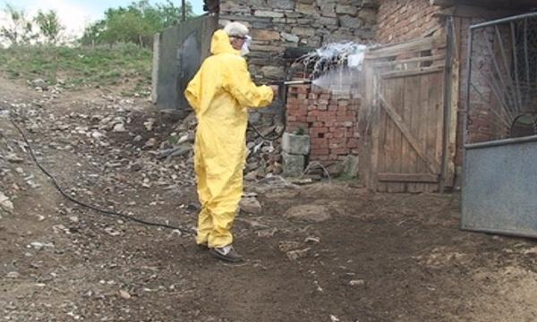 Болестта син език достигна и Видинска област