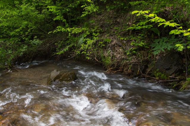 ​Природозащитни организации искат мораториум върху строителството на ВЕЦ-ове