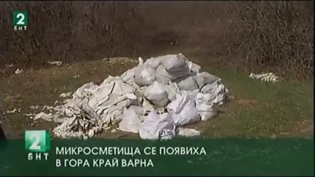 Микросметища се появиха в гора край Варна