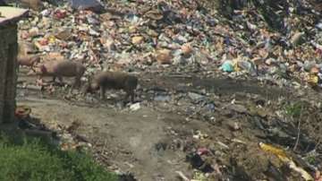 Дерето в квартал Максуда във Варна отново е превърнато в сметище