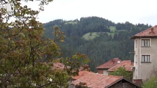 Млад мъж от Смолянско е обявен за национално издирване