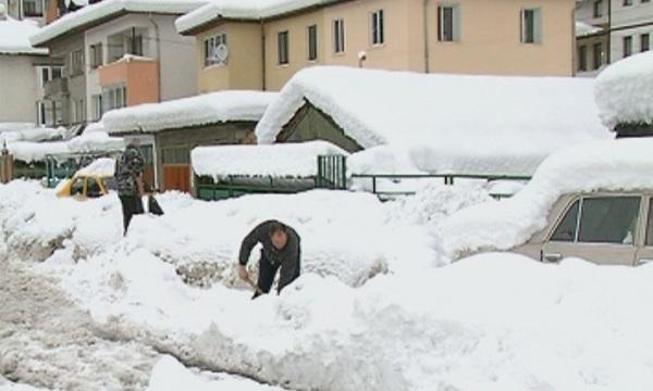 Две жертви на студа (ОБЗОР)