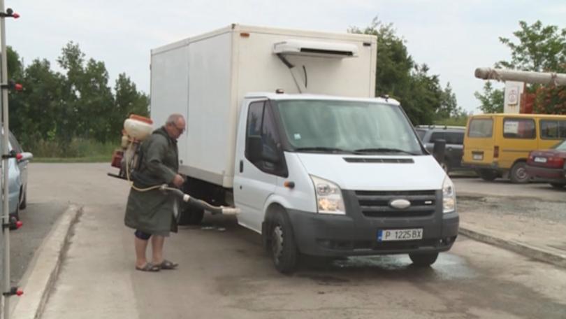 Агенцията по безопасност на храните с мерки срещу африканската чума по свинете