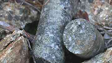 Недоволство във Велинград срещу евентуален добив на волфрам