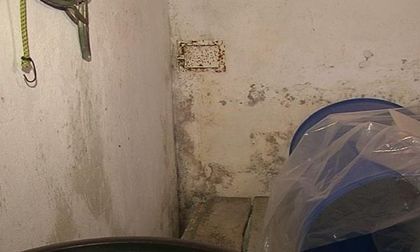 Високи подпочвени води създават проблеми в русенско село