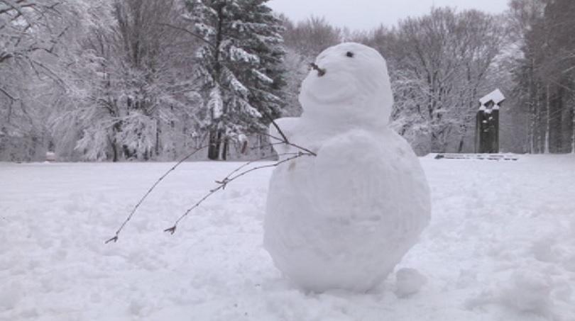 Природозащитници осиновяват туристически маршрути, за да ги опазят