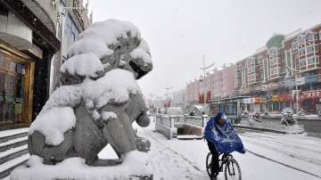 Снежна буря през пролетта изненада Китай