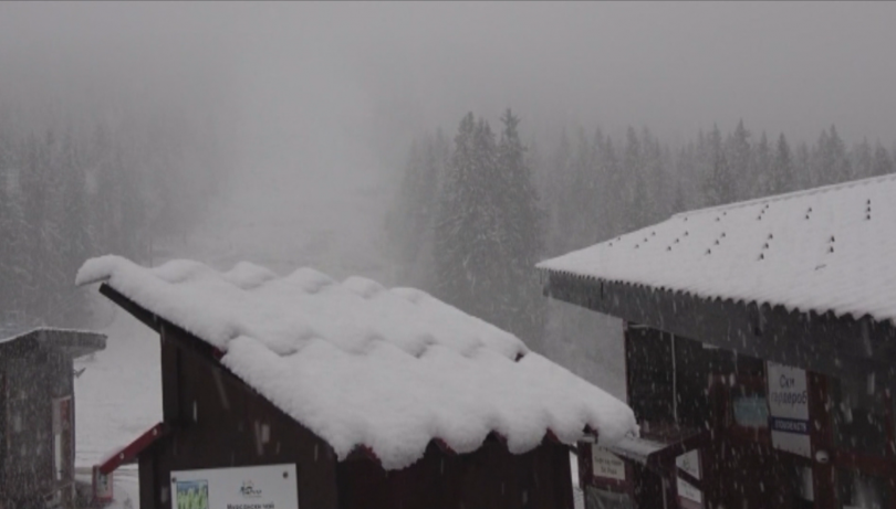 Бурен вятър в Източна България Силното вълнение затвори пристанищата във