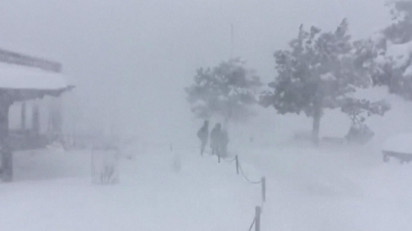 Сняг затрупа националния парк Гранд Каньон в американския щат Аризона Кадрите