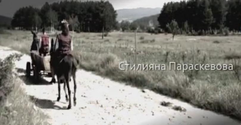 БНТ и МОН подаряват специален видеоурок на всички български училища