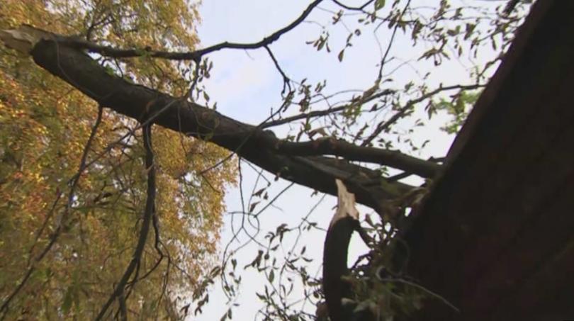 Бури вилняха в Словакия, Италия и Австрия