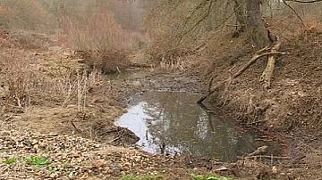 Животът в река Велека и крайбрежието й е заплашен