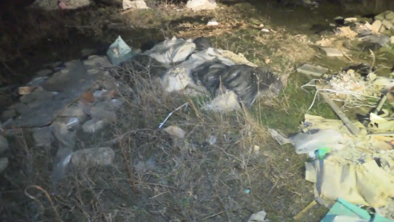 Яма с животински отпадъци бе открита в квартал Индустриален в