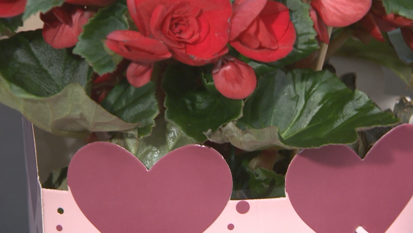 Празнуваме деня на виното и любовта