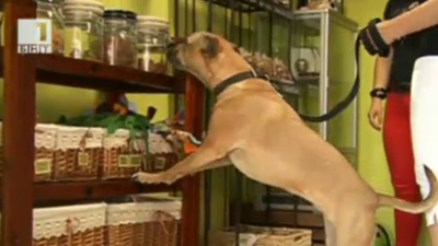 Лакомства за домашни любимци