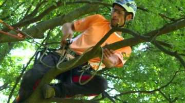 Зелена светлина на фокус: Когато общуването с дърветата се превърне в спорт