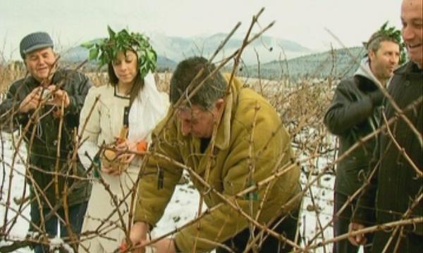 Отбелязваме Трифон Зарезан